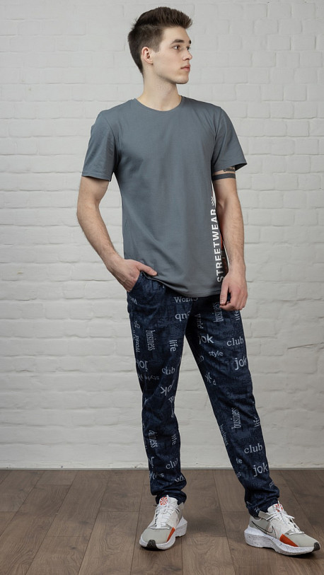 Футболка мужская Норд серый