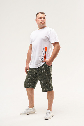 Шорты мужские Дачник хаки/буквы