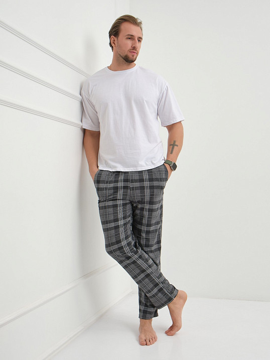 Брюки мужские Легион серый/клетка