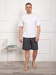 Шорты мужские Дачник антрацит/клетка