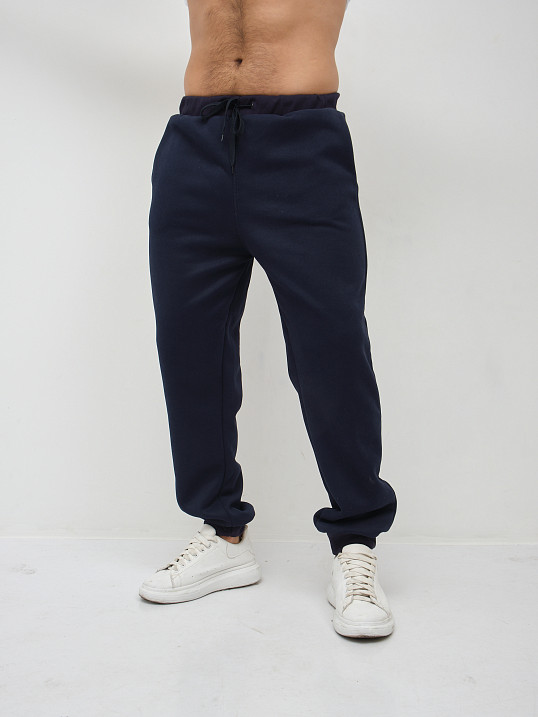 Брюки мужские теплые синий