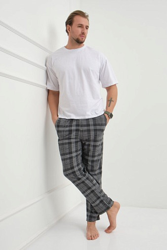 Брюки мужские Легион серый/клетка