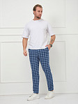 Брюки мужские Легион синий/клетка
