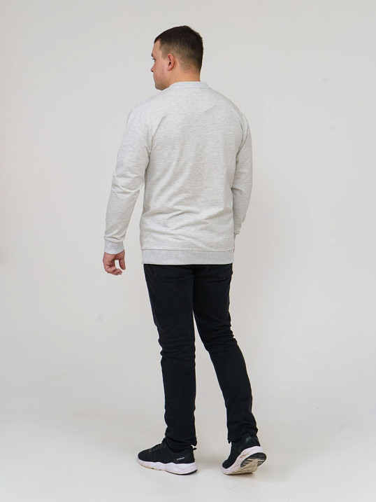 Толстовка мужская Эталон светло-серый