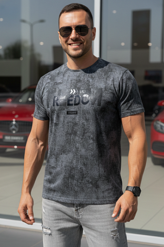 Футболка мужская Рич варенка серый