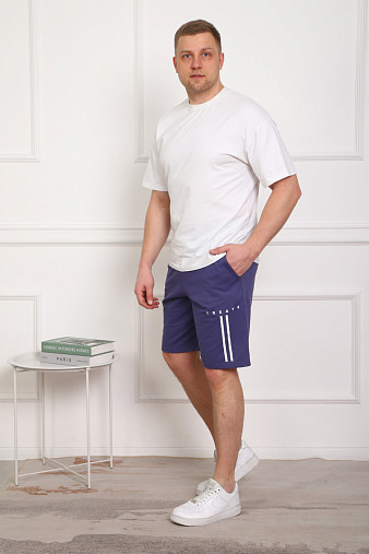 Шорты муж. Хамелеон футер индиго