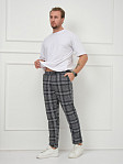Брюки мужские Легион серый/клетка