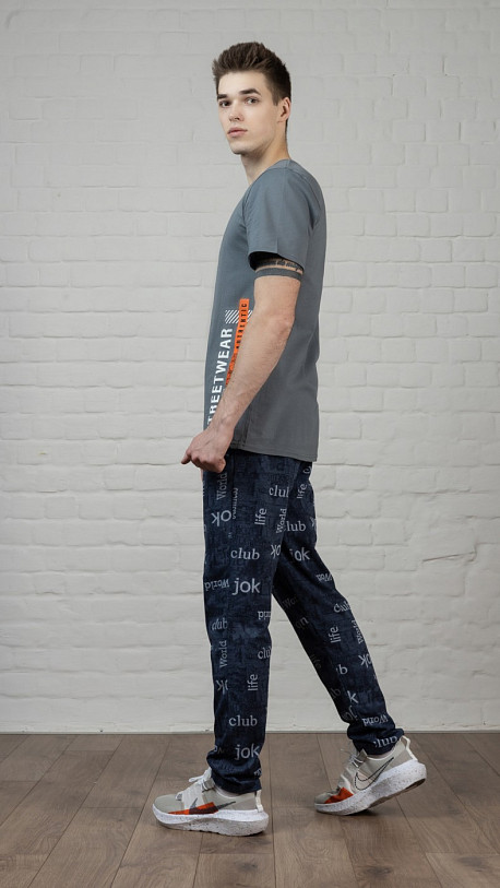 Футболка мужская Норд серый