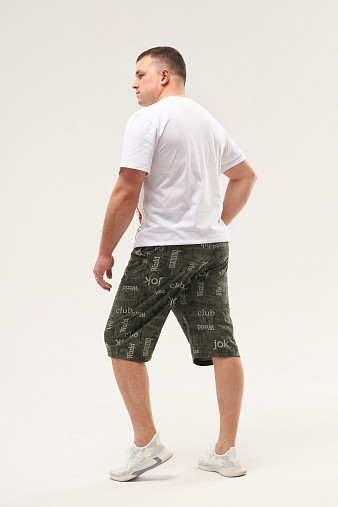 Шорты мужские Дачник хаки/буквы