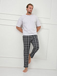 Брюки мужские Легион серый/клетка