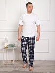 Брюки мужские Легион сине-белый/клетка