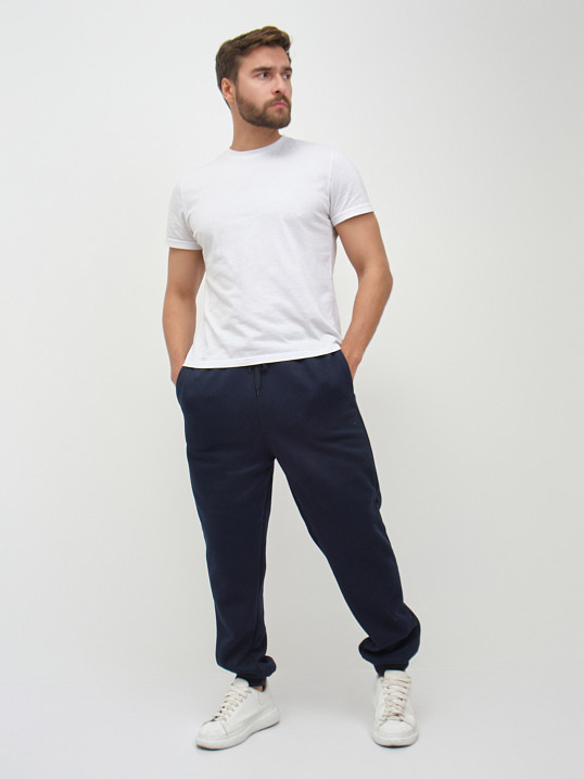 Брюки мужские теплые синий