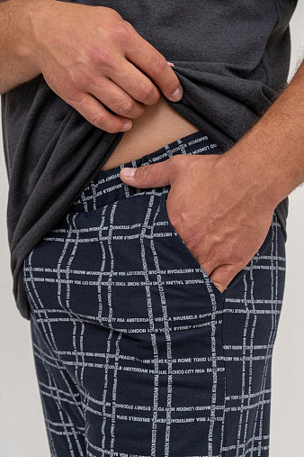 Брюки мужские Легион т-синий/клетка