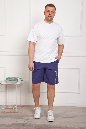 Шорты муж. Хамелеон футер индиго