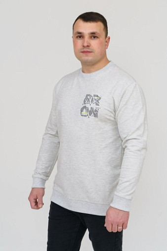 Толстовка мужская Эталон светло-серый