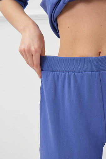 Костюм Мишель василек