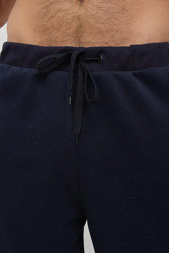 Брюки мужские теплые синий