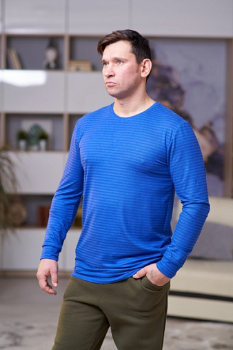 Лонгслив мужской Премиум василек