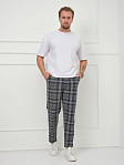 Брюки мужские Легион серый/клетка