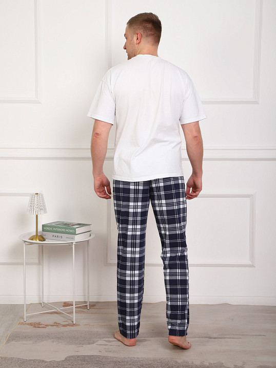 Брюки мужские Легион сине-белый/клетка