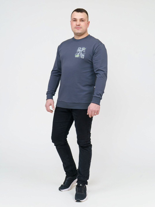 Толстовка мужская Эталон фуме