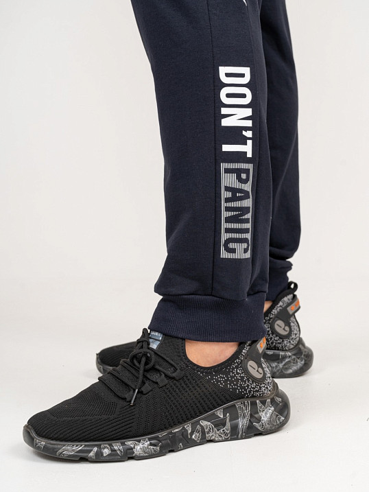 Брюки мужские лампас синий