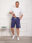 Шорты муж. Хамелеон футер индиго