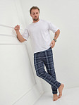 Брюки мужские Легион индиго/клетка