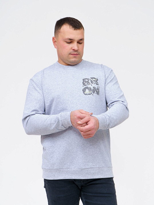 Толстовка мужская Эталон серый/меланж