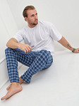 Брюки мужские Легион синий/клетка