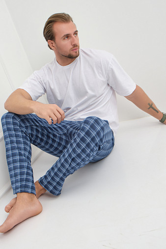 Брюки мужские Легион синий/клетка