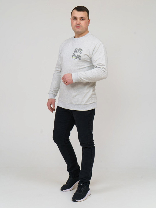 Толстовка мужская Эталон светло-серый