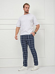 Брюки мужские Легион индиго/клетка