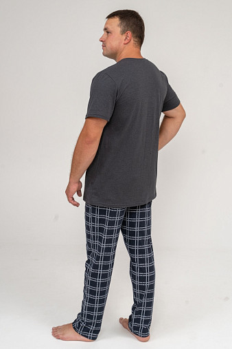 Брюки мужские Легион т-синий/клетка