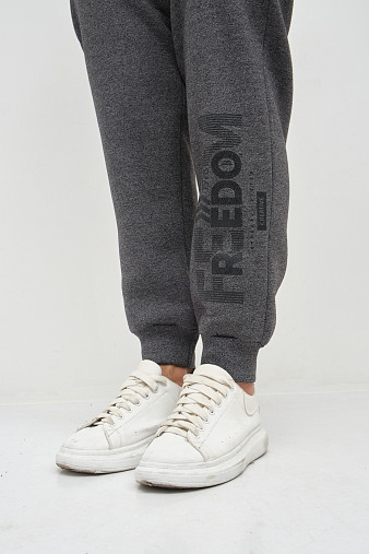 Костюм муж. Дэнди 3-х нитка начес т.серый